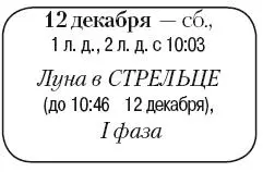 Что сделать Утрамбовать снег по контуру приствольных кругов Окучить снегом - фото 197
