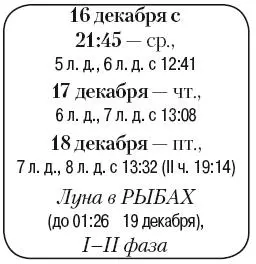 Что сделать Посеять комнатные растения из семян полить и подкормить - фото 200