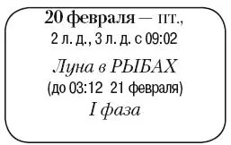 Что сделать Посеять на рассаду семена цветов с обязательным досвечиванием - фото 32