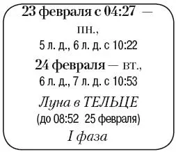 Что сделать Полить и подкормить рассаду и комнатные растения Предварительно - фото 34