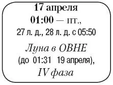 Что сделать Осуществить полив корневые и внекорневые подкормки овощных - фото 64