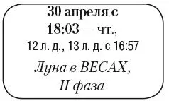 Что сделать Посадить косточковые фруктовые деревья слива вишня абрикос - фото 71