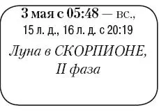 Что сделать Продолжить хозяйственные работы по уборке дачного участка - фото 73