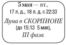 Что сделать Полить и осуществить внекорневые подкормки рассады и комнатных - фото 75