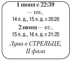 Что сделать Сажать все виды целебных трав листовые овощи виноград - фото 90