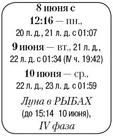Что сделать Полить и подкормить растения Подкормить плодовые деревья и - фото 95