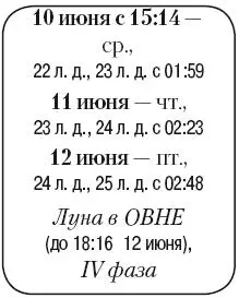 Что сделать Обрезать старые листья на огурцах кабачках томатах баклажанах - фото 96