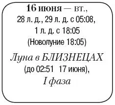 Что сделать Пропалывать и прореживать посадки косить траву опрыскивать - фото 99