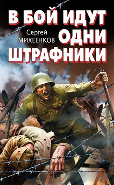 Сергей Михеенков В бой идут одни штрафники обложка книги