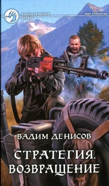 Вадим Денисов Возвращение обложка книги