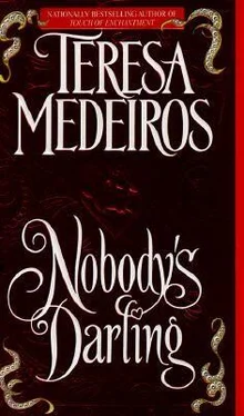 Teresa Medeiros Nobody's Darling обложка книги