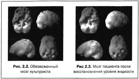 Чтобы усилить кровообращение во всем организме и в мозге необходимо достаточно - фото 8