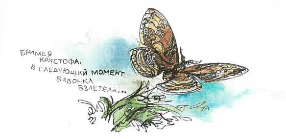 Брамея Кристофа В следующий момент бабочка взлетела - фото 51