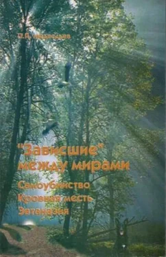 Потап Медведьев Зависшие между мирами: cамоубийство, эвтаназия, кровная месть обложка книги