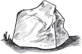 But sometimes just sometimes you might come across a rock that is not - фото 36