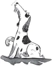 Every one of these dogs was a sensible dog They knew that a Frid lived in the - фото 39