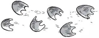 Inside the nest were three fluffy roundeyed goofylooking chicks with - фото 79