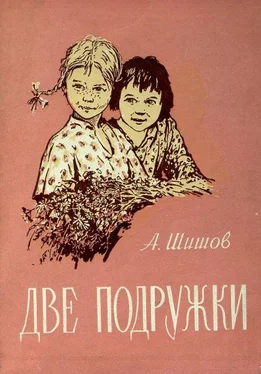 Александр Шишов Две подружки обложка книги