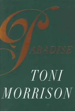 Toni Morrison Paradise обложка книги