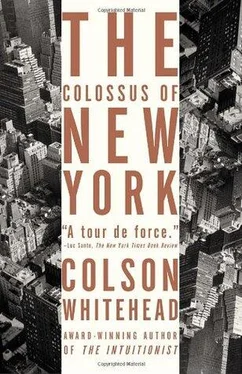 Colson Whitehead The Colossus of New York обложка книги