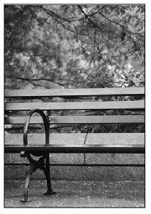 ON THE FIRST day of spring in search of antidote they seek the park hardly - фото 8