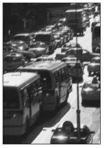 EKING OUT all day and then quitting time and they hit the streets Its already - фото 20