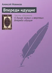 Алексей Новиков - Впереди идущие