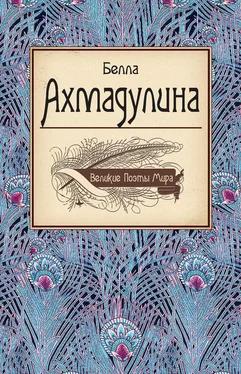 Белла Ахмадулина Белла Ахмадулина обложка книги