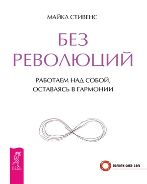 Майкл Стивенс Без революций. Работаем над собой, оставаясь в гармонии обложка книги