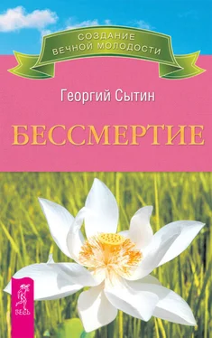 Георгий Сытин Бессмертие. Молодым можно жить тысячи лет. Книга 2 обложка книги