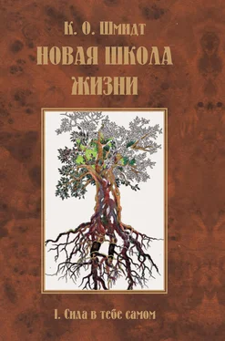 К. Шмидт Новая школа жизни. I том. Сила в тебе самом обложка книги