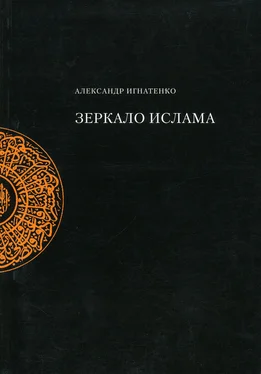 Александр Игнатенко Зеркало ислама обложка книги