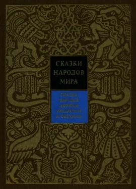 Константин Поздняков Сказки народов Африки, Австралии и Океании обложка книги