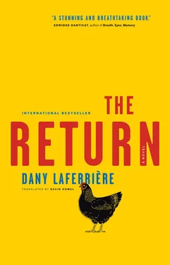 Dany Laferriere The Return обложка книги