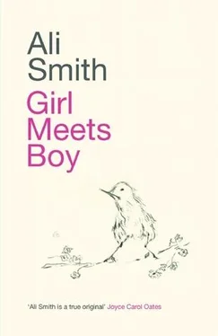 Ali Smith Girl Meets Boy обложка книги
