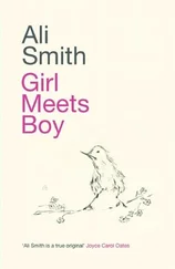 Ali Smith - Girl Meets Boy