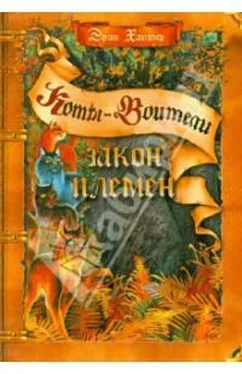 Эрин Хантер Коты-воители: путеводитель обложка книги