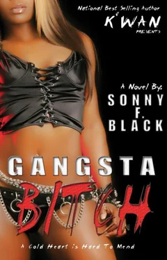 Sonny Black Gangsta Bitch обложка книги