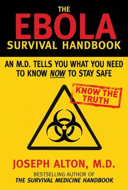 Joseph Alton The Ebola Survival Handbook обложка книги