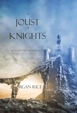 Morgan Rice A Joust of Knights обложка книги