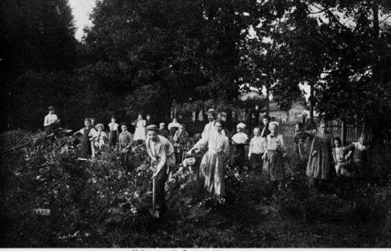 Удельнинский отдел общества Богатырь Работа на огороде 19101911 гг - фото 62