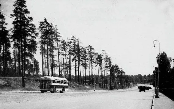 Проспект Энгельса спуск с Поклонной горы 1954 г Фото ФА Белокурова Из - фото 135