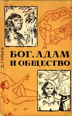 Дмитрий Гурьев Бог, Адам и общество обложка книги