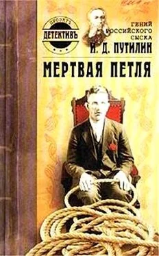 Дмитрий Нечевин Гений российского сыска И. Д. Путилин. Мертвая петля обложка книги