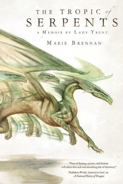 Marie Brennan The Tropic of Serpents обложка книги