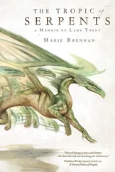Marie Brennan - The Tropic of Serpents