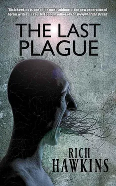 Rich Hawkins The Last Plague обложка книги