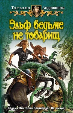 Татьяна Андрианова Эльф ведьме не товарищ обложка книги