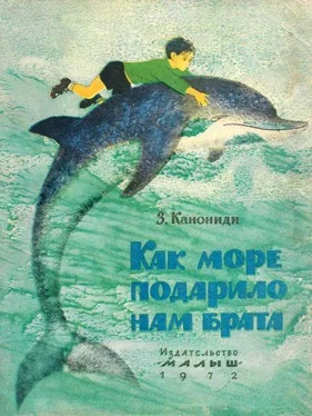 Зинаида Канониди Как море подарило нам брата обложка книги