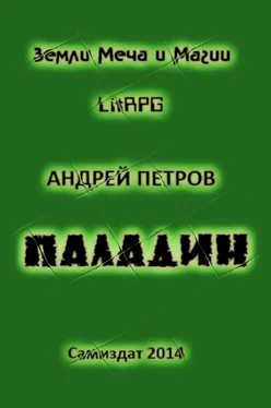 Андрей Петров Паладин обложка книги